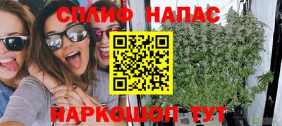 каннабис Малгобек