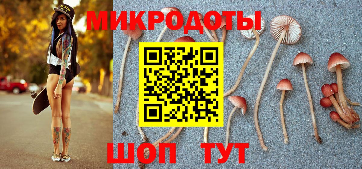 Галлюциногенные грибы Psilocybine cubensis  Вход с VPN  Выборг 